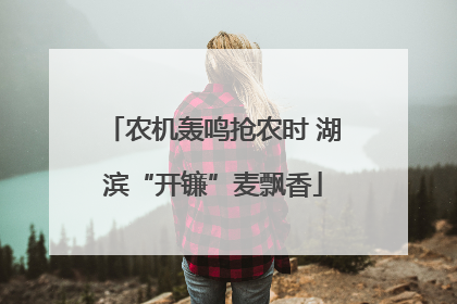 农机轰鸣抢农时 湖滨“开镰”麦飘香