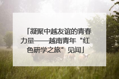 凝聚中越友谊的青春力量——越南青年“红色研学之旅”见闻