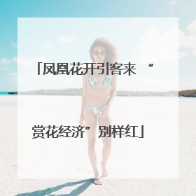 凤凰花开引客来 “赏花经济”别样红