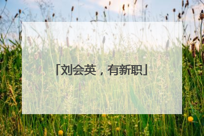 刘会英，有新职