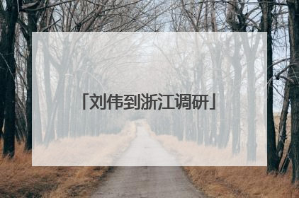 刘伟到浙江调研