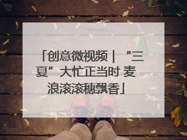 创意微视频｜“三夏”大忙正当时 麦浪滚滚穗飘香