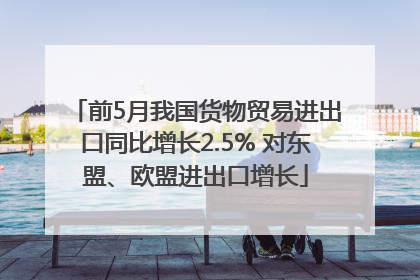 前5月我国货物贸易进出口同比增长2.5% 对东盟、欧盟进出口增长