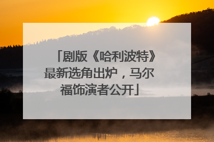 剧版《哈利波特》最新选角出炉，马尔福饰演者公开