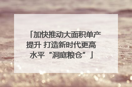 加快推动大面积单产提升 打造新时代更高水平“洞庭粮仓”