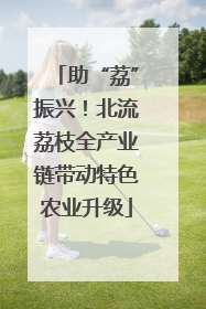 助“荔”振兴！北流荔枝全产业链带动特色农业升级