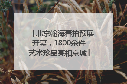北京翰海春拍预展开幕，1800余件艺术珍品亮相京城