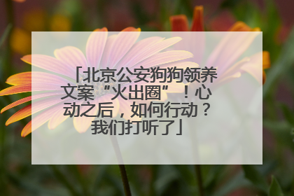北京公安狗狗领养文案“火出圈”！心动之后，如何行动？我们打听了
