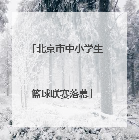 北京市中小学生篮球联赛落幕