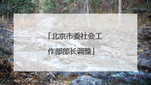 北京市委社会工作部部长调整