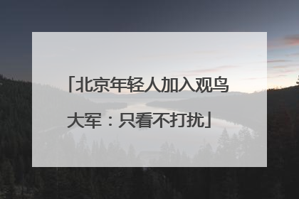北京年轻人加入观鸟大军：只看不打扰