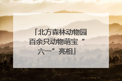 北方森林动物园百余只动物萌宝“六一”亮相
