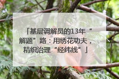 基层调解员的13年“解题”路：用绣花功夫，精织治理“经纬线”