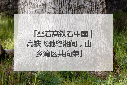 坐着高铁看中国｜高铁飞驰粤湘间，山乡湾区共向荣