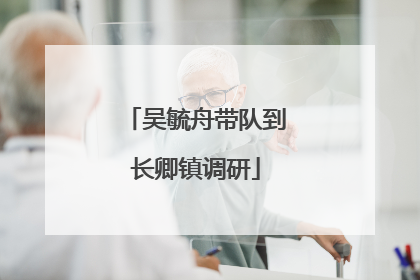 吴毓舟带队到长卿镇调研