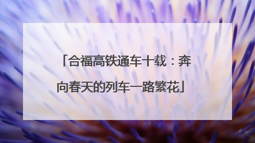 合福高铁通车十载：奔向春天的列车一路繁花
