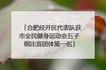 合肥经开区代表队获市全民健身运动会五子棋比赛团体第一名