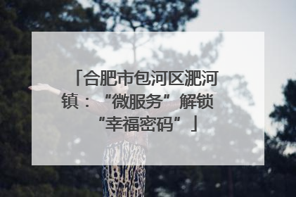 合肥市包河区淝河镇：“微服务”解锁“幸福密码”