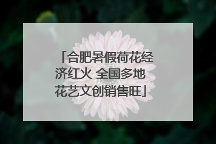 合肥暑假荷花经济红火 全国多地花艺文创销售旺