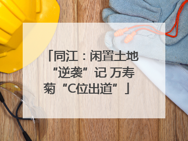 同江：闲置土地“逆袭”记 万寿菊“C位出道”
