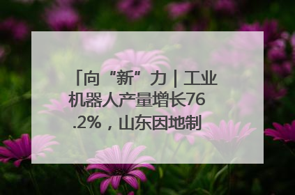 向“新”力｜工业机器人产量增长76.2%，山东因地制宜发展新质生产力