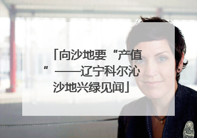 向沙地要“产值”——辽宁科尔沁沙地兴绿见闻