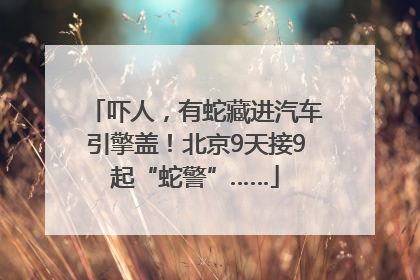 吓人，有蛇藏进汽车引擎盖！北京9天接9起“蛇警”……
