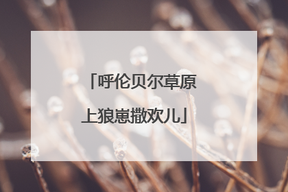 呼伦贝尔草原上狼崽撒欢儿