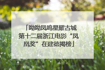 呦呦凤鸣星耀古城 第十二届浙江电影“凤凰奖”在建德揭榜