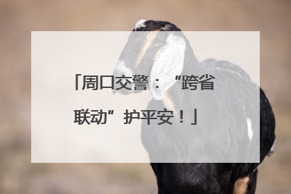 周口交警：“跨省联动”护平安！