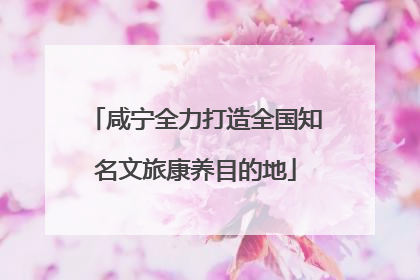 咸宁全力打造全国知名文旅康养目的地