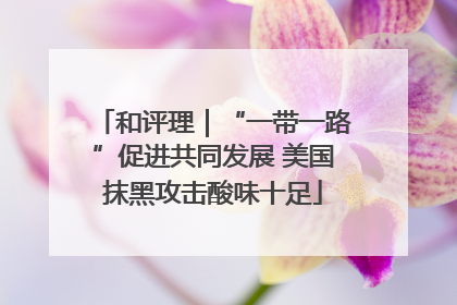 和评理｜“一带一路”促进共同发展 美国抹黑攻击酸味十足