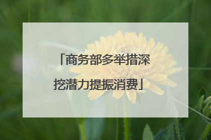 商务部多举措深挖潜力提振消费