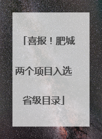喜报！肥城两个项目入选省级目录