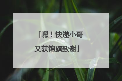 嘿！快递小哥又获锦旗致谢
