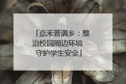 嘉禾普满乡：整治校园周边环境 守护学生安全