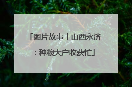 图片故事丨山西永济：种粮大户收获忙
