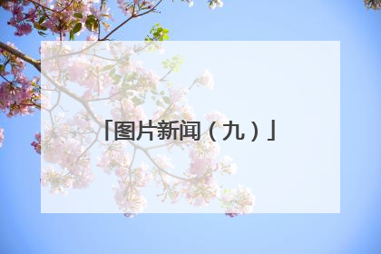 图片新闻（九）