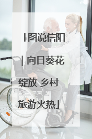 图说信阳｜向日葵花绽放 乡村旅游火热