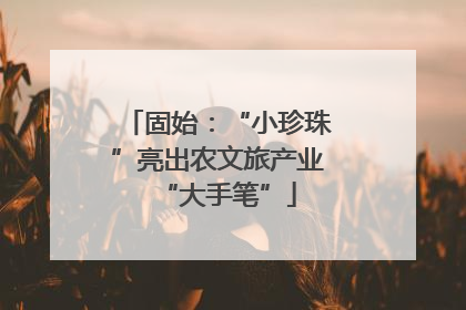 固始：“小珍珠”亮出农文旅产业“大手笔”