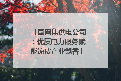 国网焦供电公司：优质电力服务赋能凉皮产业飘香