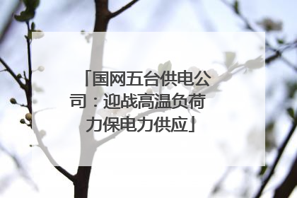 国网五台供电公司：迎战高温负荷 力保电力供应