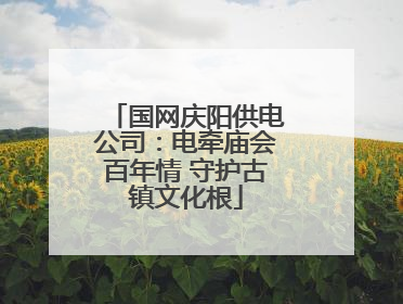 国网庆阳供电公司：电牵庙会百年情 守护古镇文化根
