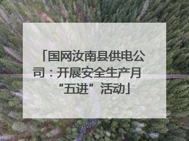 国网汝南县供电公司：开展安全生产月“五进”活动