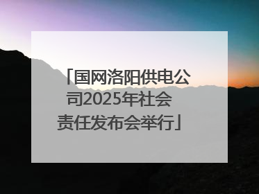国网洛阳供电公司2025年社会责任发布会举行