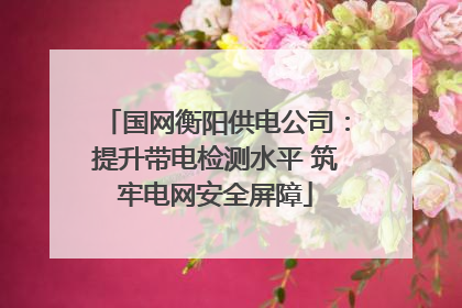 国网衡阳供电公司：提升带电检测水平 筑牢电网安全屏障