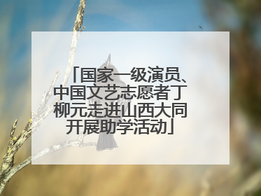 国家一级演员、中国文艺志愿者丁柳元走进山西大同开展助学活动