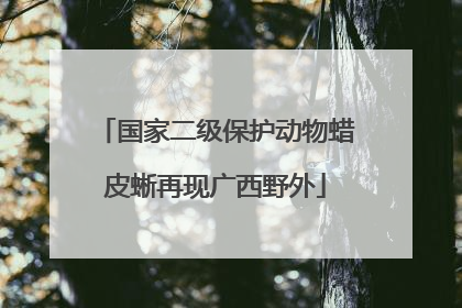 国家二级保护动物蜡皮蜥再现广西野外