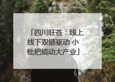 四川旺苍：线上线下双链驱动 小枇杷撬动大产业