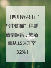 四川老君山“鸟中熊猫”种群数量翻番，繁殖率从15%升至32%